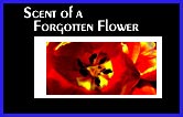 Scent of a Forgotten Flower